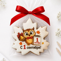 Пряник Сова 1 сентября  10 см